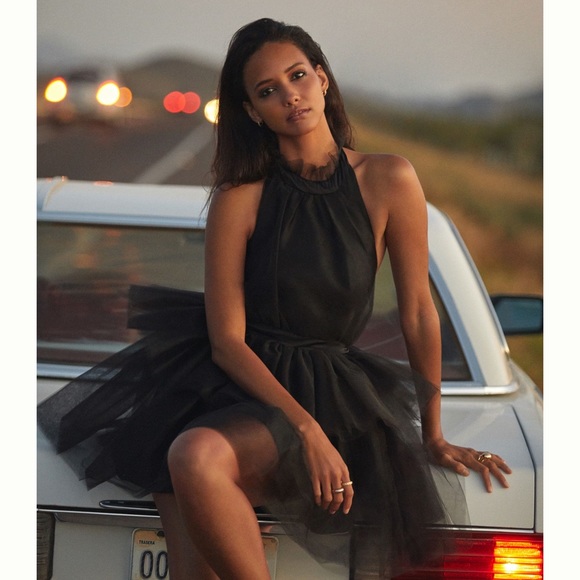 Anthropologie Dresses & Skirts - Hutch Tulle Halter Mini Dress